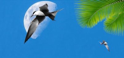 tropical birds on the blue sky