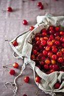 fresh small sour cherries