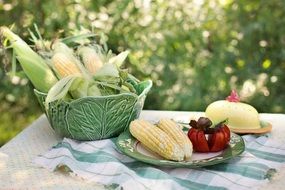 corn cob food yellow sweetcorn harvest natural