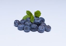 handful of fresh blueberries