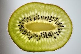 half-cut kiwi with black seeds at white background