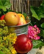 garden fruits in the bucket