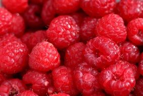 heap of fresh juicy raspberries