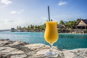 passion fruit daiquiri tropical seashore