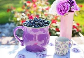 blueberries for summer snack