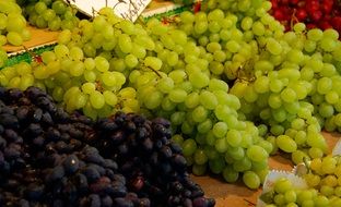 clusters of red and green grapes