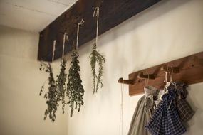 drying hanging herbs