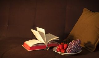 grapes, strawberries, a book and a pillow on a soft couch