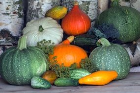 bunch of pumpkins in different sizes and colours