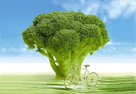 broccoli head presented as a tree with a small bike near it