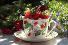antique tea cup with strawberries in the garden