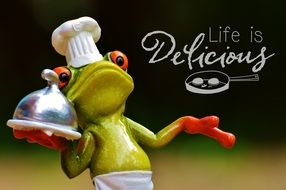 funny frog symbolizing cooking