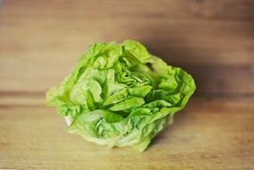 iceberg lettuce resting on the table