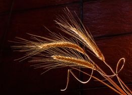 tree dried spikes of wheat on brown background
