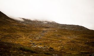 landscape of misty mountains