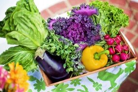 organic grown vegetables in container