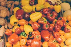 red, yellow and orange peppers