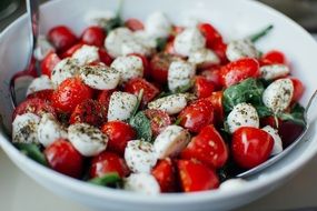 bocconcini cheese and vegetables greek salad