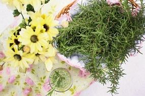 rosemary herb food healthy yellow flowers