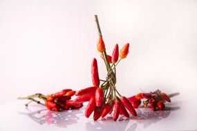 dried red spicy chilly peppers