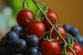 fresh and ripe tomatoes and plums lying together