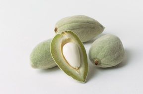 raw green almonds and hezelnuts