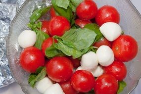 salad of tomatoes leaves and cheese