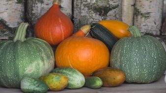 harvest of colorful pumpkins