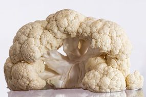 fresh healthy cauliflower