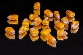 yellow corns on black table