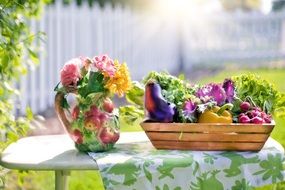 vegetables of the garden