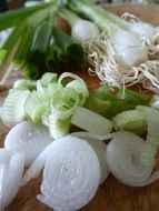 spring vegetables cut and ready to be cooked