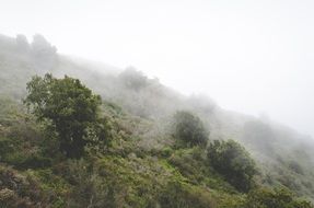 fog and mist on the top of a mountain hill