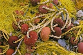 fishing net covered in seaweed at a fishing port