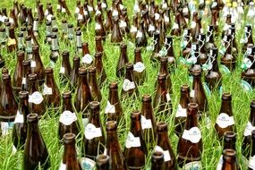 decor from brown beer bottles