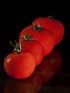 red tomatoes with water drops