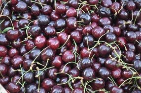 cherries from summer harvest in a large pile