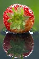 healthy ctrawberry about to fall into water