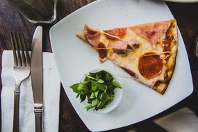 lunch meal with a slice of pizza and salad