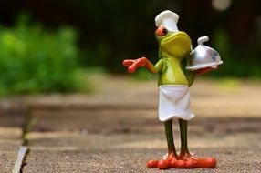 funny frog Chef cooking eat