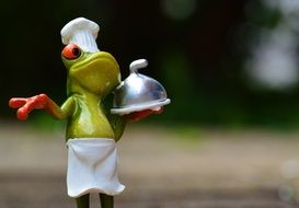 funny frog chef