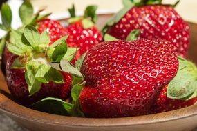 delicious juicy strawberries