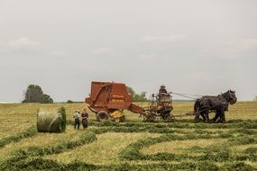 agriculture farming people