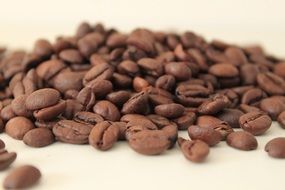 roasted coffee beans with a delightful aroma