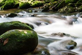 river stream and shore stones covered with moss