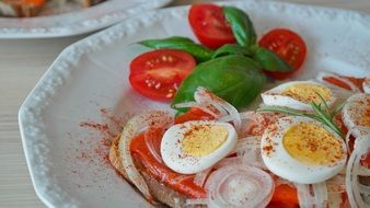 salmon sandwich with eggs, onions, and tomatoes