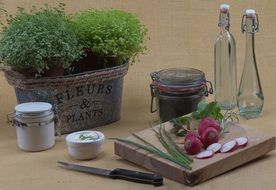 slicing radish and green salad on the table