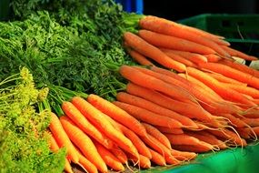 fresh and juicy carrots vegetables