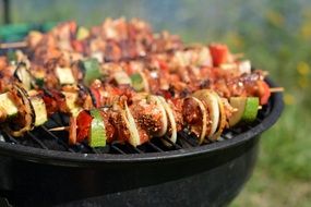 shish kebab on the grill