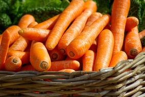 carrots in a wicker basket for sale